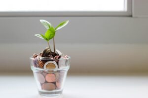 Financial Freedom: Your Personalized Path to Prosperity