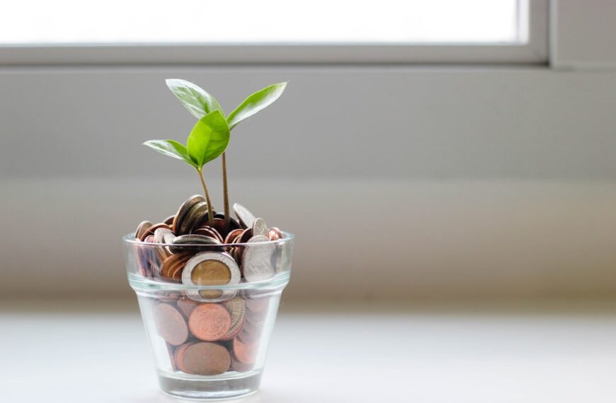 Financial Freedom: Your Personalized Path to Prosperity
