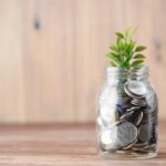 Small Change, Big Future: The Micro-Saving Revolution