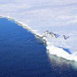Climate Migration: Reshaping Economies and Redefining Opportunity