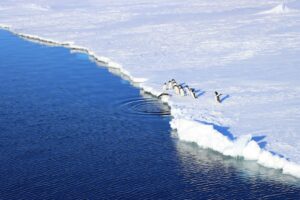 Climate Migration: Reshaping Economies and Redefining Opportunity