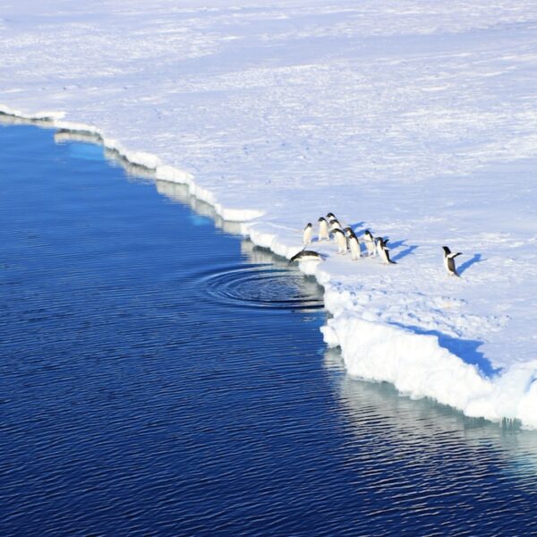Climate Migration: Reshaping Economies and Redefining Opportunity