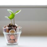 Wealth Without the Hustle: A Sustainable Path to Financial Freedom